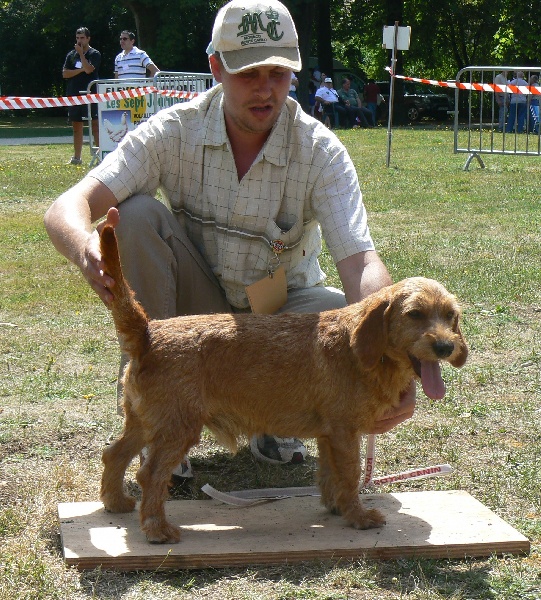 CH. Dino du rallye de ramondens