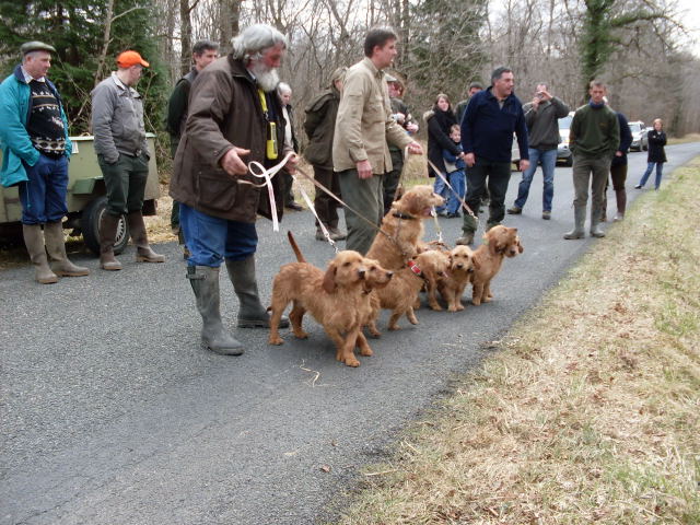 Les brevets de chasse